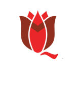 Qostanai.Media